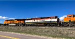 BCOL 4607